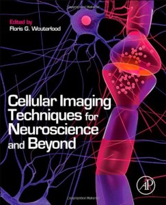 Cellular Imaging Techniques for Neuroscience and Beyond (Original PDF from Publisher)