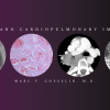 Chest and Cardiopulmonary Imaging – Marc V. Gosselin, M.D (Videos + PDF)