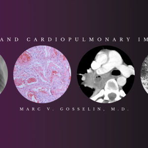 Chest and Cardiopulmonary Imaging – Marc V. Gosselin, M.D (Videos + PDF)