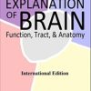 Clear Explanation of Brain Function, Tract, & Anatomy International Edition (EPUB)