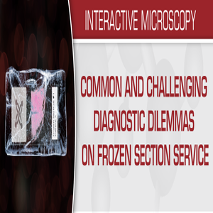 Common and Challenging Diagnostic Dilemmas on Frozen Section Service 2020 (Videos)