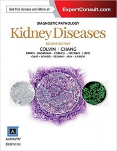 Diagnostic Pathology: Kidney Diseases, 2nd Edition (Original PDF from Publisher)