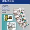 Dynamic Reconstruction of the Spine, 2nd Edition