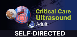 Critical Care Ultrasound: Adult Self-Directed 2020 (Videos)