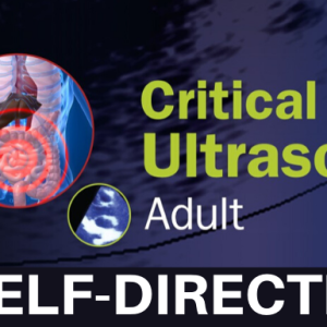 Critical Care Ultrasound: Adult Self-Directed 2020 (Videos)