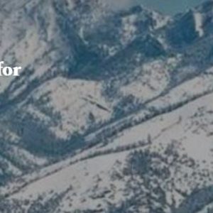 Emergency Medicine, Sports Medicine for Primary Care, and Rheumatology 2025 (Videos + Audios + Slides)