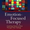 Emotion-focused Therapy: Coaching Clients to Work Through Their Feelings, 2e