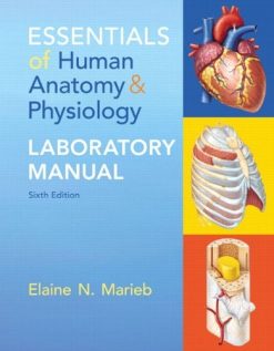 Essentials of Human Anatomy & Physiology Laboratory Manual (6th Edition) (Original PDF from Publisher)