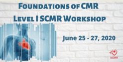 Foundations Of CMR – Level I SCMR Workshop 2020 (Videos)