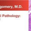 Expert Series with Elizabeth Montgomery, M.D.: Gastrointestinal Pathology: A One-On-One Tutorial 2018 (Videos)