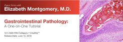 Expert Series with Elizabeth Montgomery, M.D.: Gastrointestinal Pathology: A One-On-One Tutorial 2018 (Videos)