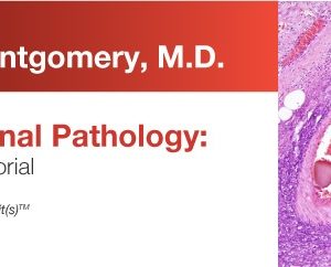 Expert Series with Elizabeth Montgomery, M.D.: Gastrointestinal Pathology: A One-On-One Tutorial 2018 (Videos)