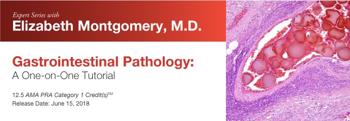 Expert Series with Elizabeth Montgomery, M.D.: Gastrointestinal Pathology: A One-On-One Tutorial 2018 (Videos)