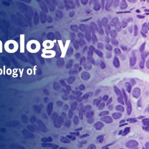 Gynecologic Pathology – The Pathology of Neoplastic Diseases 2025 (Videos with subtitles + Slides)