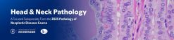 Head & Neck Pathology – The Pathology of Neoplastic Diseases 2025 (Videos with subtitles + Slides)