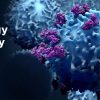 11th Annual Hematology and Medical Oncology Board Review: Contemporary Practice (Videos)
