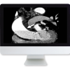 Highlights in Thoracic and Cardiovascular Imaging 2019 (Videos)