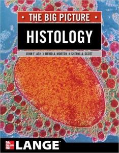 Histology: The Big Picture (LANGE The Big Picture) (EPUB)