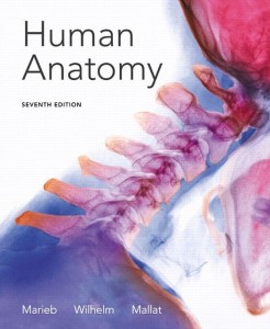 Human Anatomy (7th Edition) – Marieb