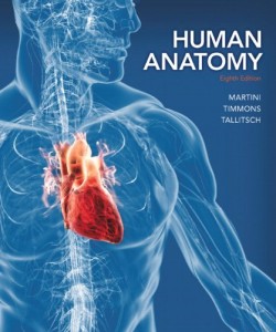 Human Anatomy (8th Edition) (Original PDF from Publisher)