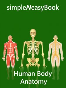 Human Body Anatomy – simpleNeasyBook (EPUB)