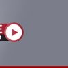 Harvard Infectious Diseases in Adults 2023 (Videos)