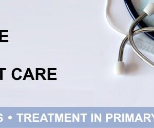 Harvard Infectious Diseases in Primary Care 2025 (Videos + Slides PDFs)
