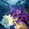 MD Anderson A Comprehensive Board Review in Hematology and Medical Oncology 2021 (Videos)