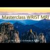 Agten Wrist MRI Masterclass (Videos)