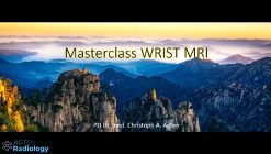 Agten Wrist MRI Masterclass (Videos)