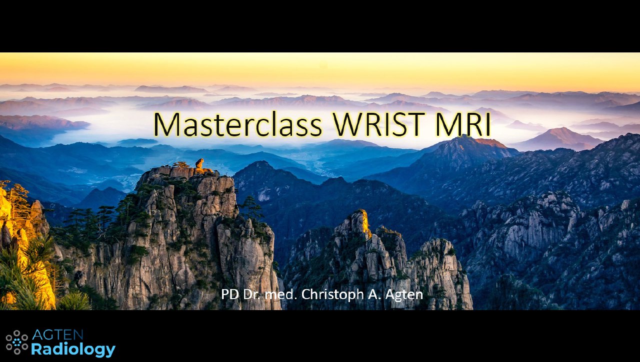 Agten Wrist MRI Masterclass (Videos)