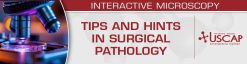 USCAP Tips and Hints in Surgical Pathology 2026 (Videos + PDFs)