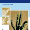 An Evidence-Based Approach To The Fingertip Diseases (Original PDF from Publisher)