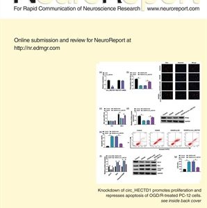 Neuroreport 2022 Full Archives (True PDF)