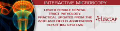 USCAP Lower Female Genital Tract Pathology 2025 (Videos + Slides)