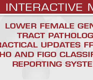 USCAP Lower Female Genital Tract Pathology 2025 (Videos + Slides)