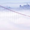 UCSF CME COVID-19 for Clinicians: Up-to-the-Minute Advances 2022 (Videos)