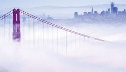 UCSF CME COVID-19 for Clinicians: Up-to-the-Minute Advances 2022 (Videos)