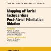 Mapping of Atrial Tachycardias post-Atrial Fibrillation Ablation, An Issue of Cardiac Electrophysiology Clinics, 1e (Original PDF from Publisher)