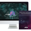 ARRS Pitfalls, Variants, and Pseudolesions: How to Avoid Misdiagnosis 2019 (Videos)