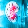 Harvard Intensive Review of Nephrology 2021 (Videos)