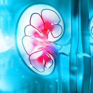 Harvard Intensive Review of Nephrology 2021 (Videos)