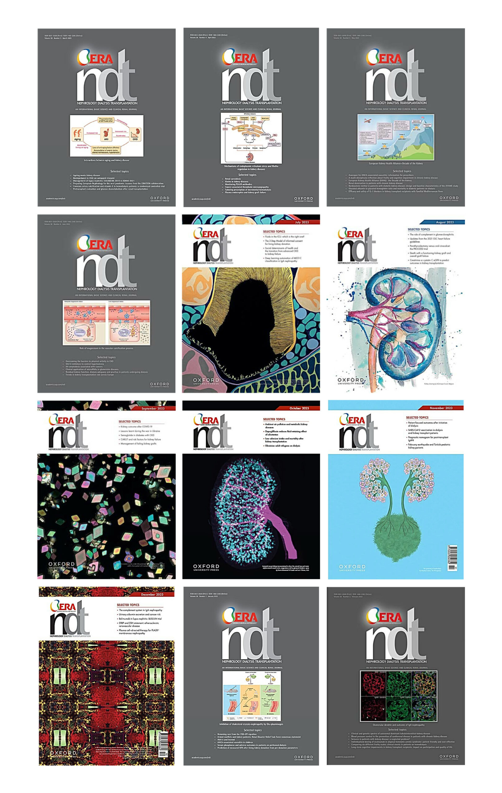 Nephrology Dialysis Transplantation 2023 Full Archives (True PDF)