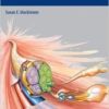 Nerve Surgery