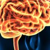 Harvard Neurological Emergencies 2021 (Videos)