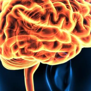 Harvard Neurological Emergencies 2021 (Videos)