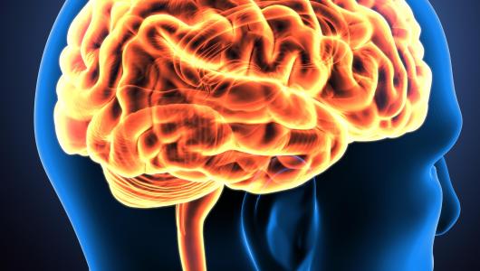 Harvard Neurological Emergencies 2021 (Videos)