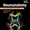 Neuroanatomy: an Illustrated Colour Text, 5e (Original PDF from Publisher)
