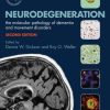 Neurodegeneration: The Molecular Pathology of Dementia and Movement Disorders, 2e (Original PDF from Publisher)