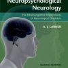 Neuropsychological Neurology: The Neurocognitive Impairments of Neurological Disorders, 2e